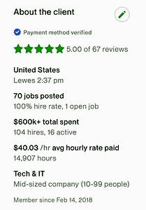 Screenshot from Upwork of an Upwork Client profile, showing about the Client.