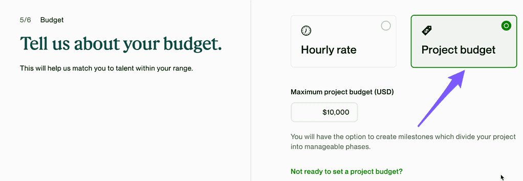 Screenshot of Upwork job posting process, project budget screen with Fixed Price job selected
